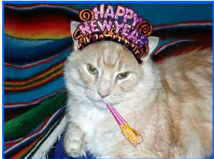 HappyNewYearsCat.png