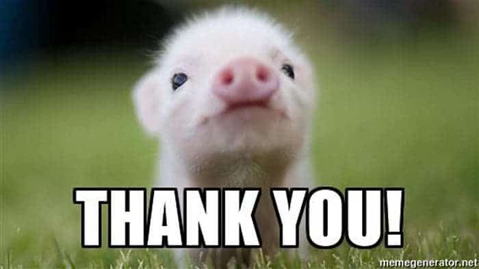 piglet-says-thank-you-memes.jpg